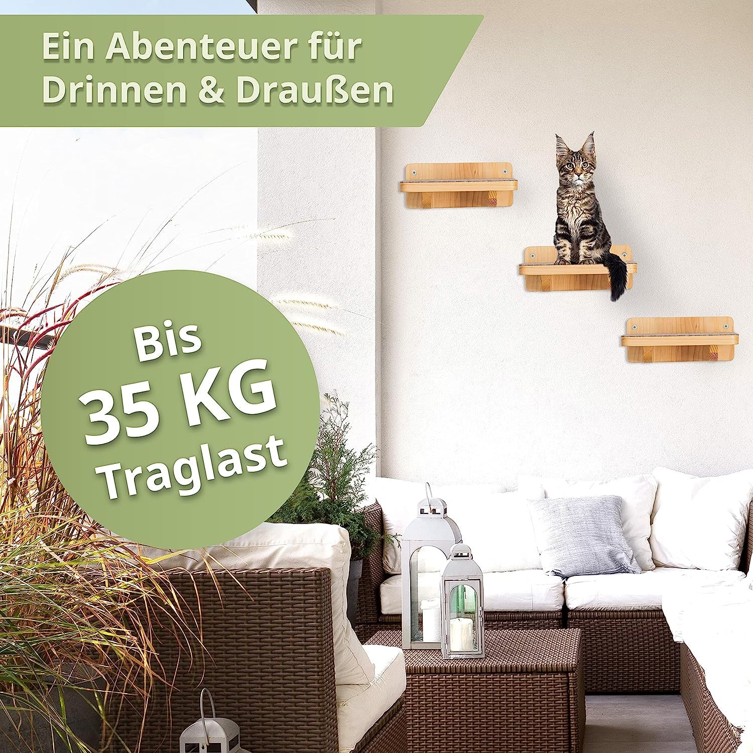 Katzentreppen Wand - bis 35 kg Traglast