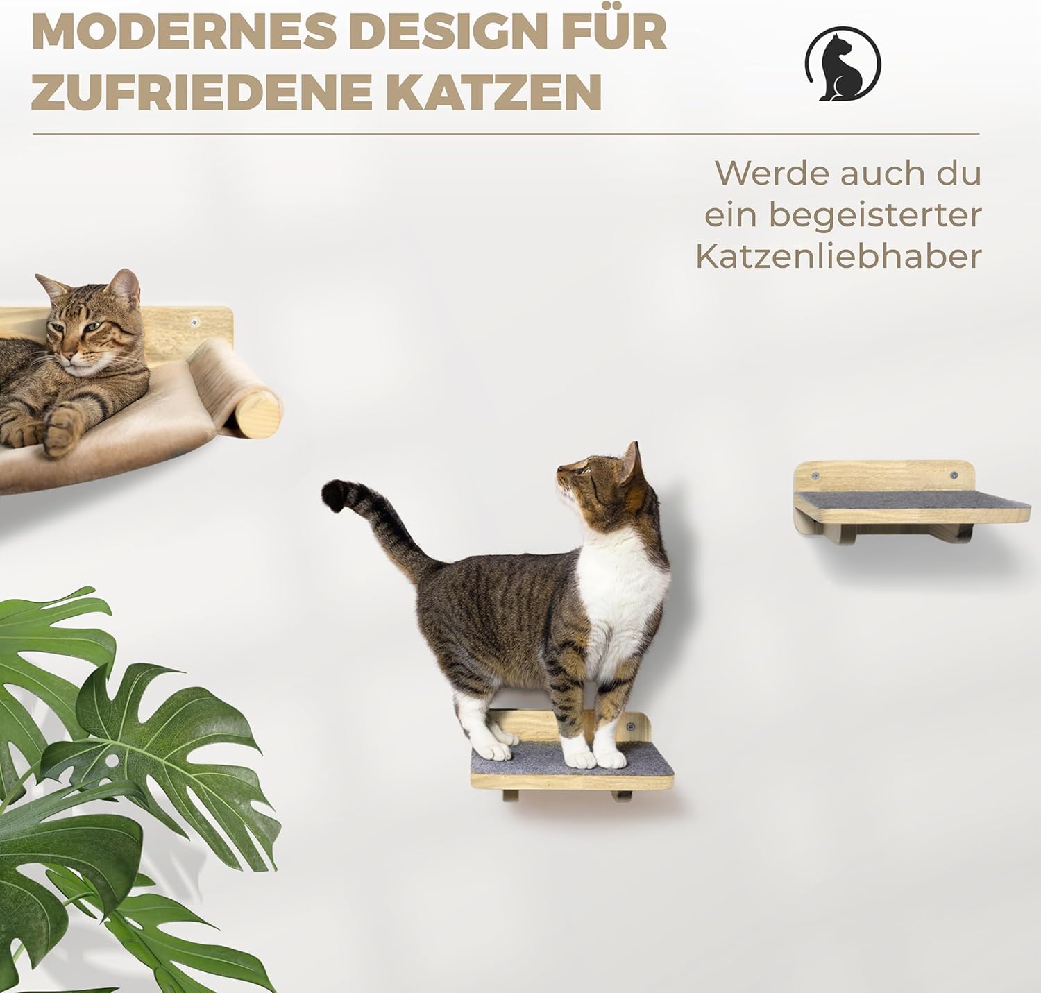 WOOWOOD Kletterwand Set im Wohnzimmer montiert