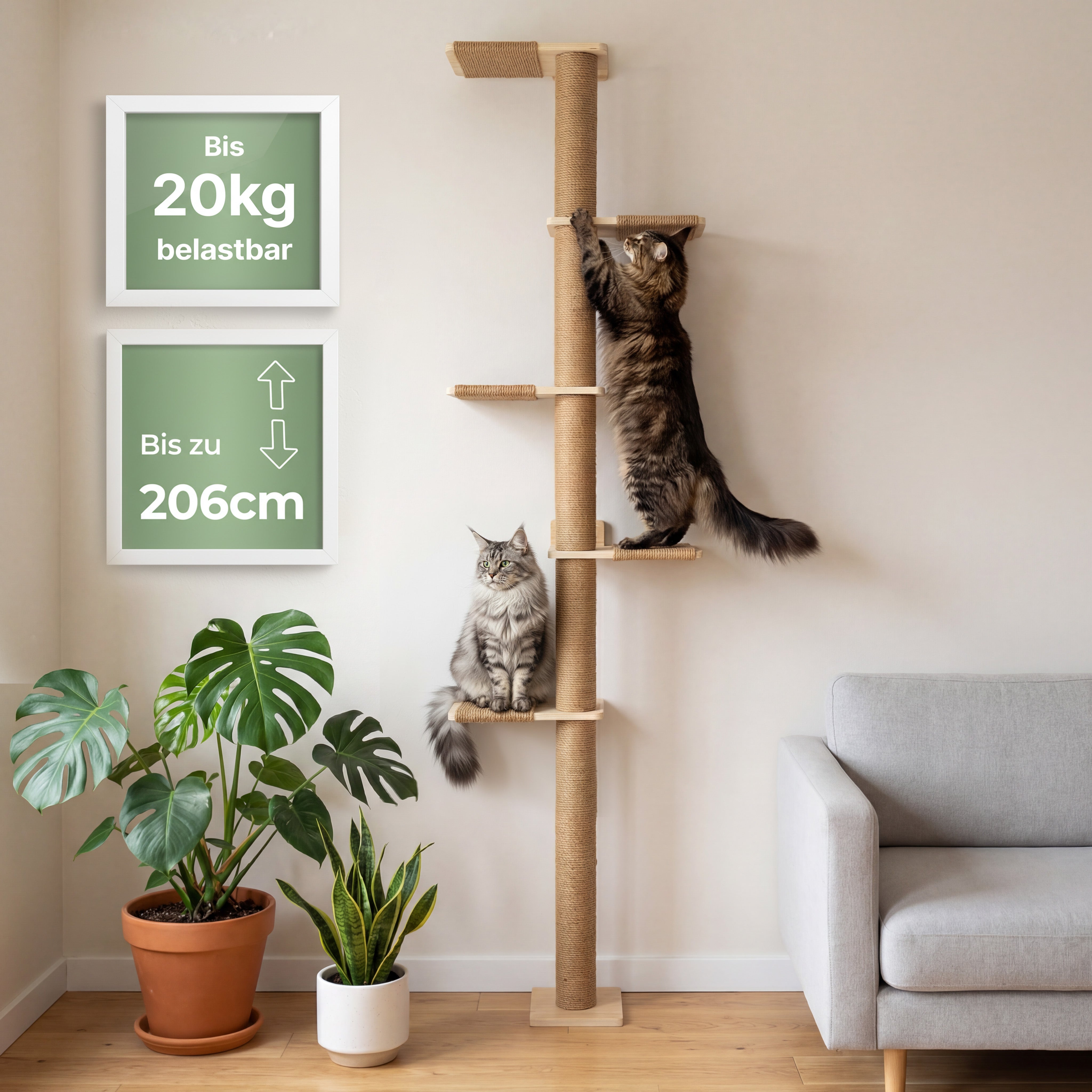 Deckenhoher Kletterbaum Katze