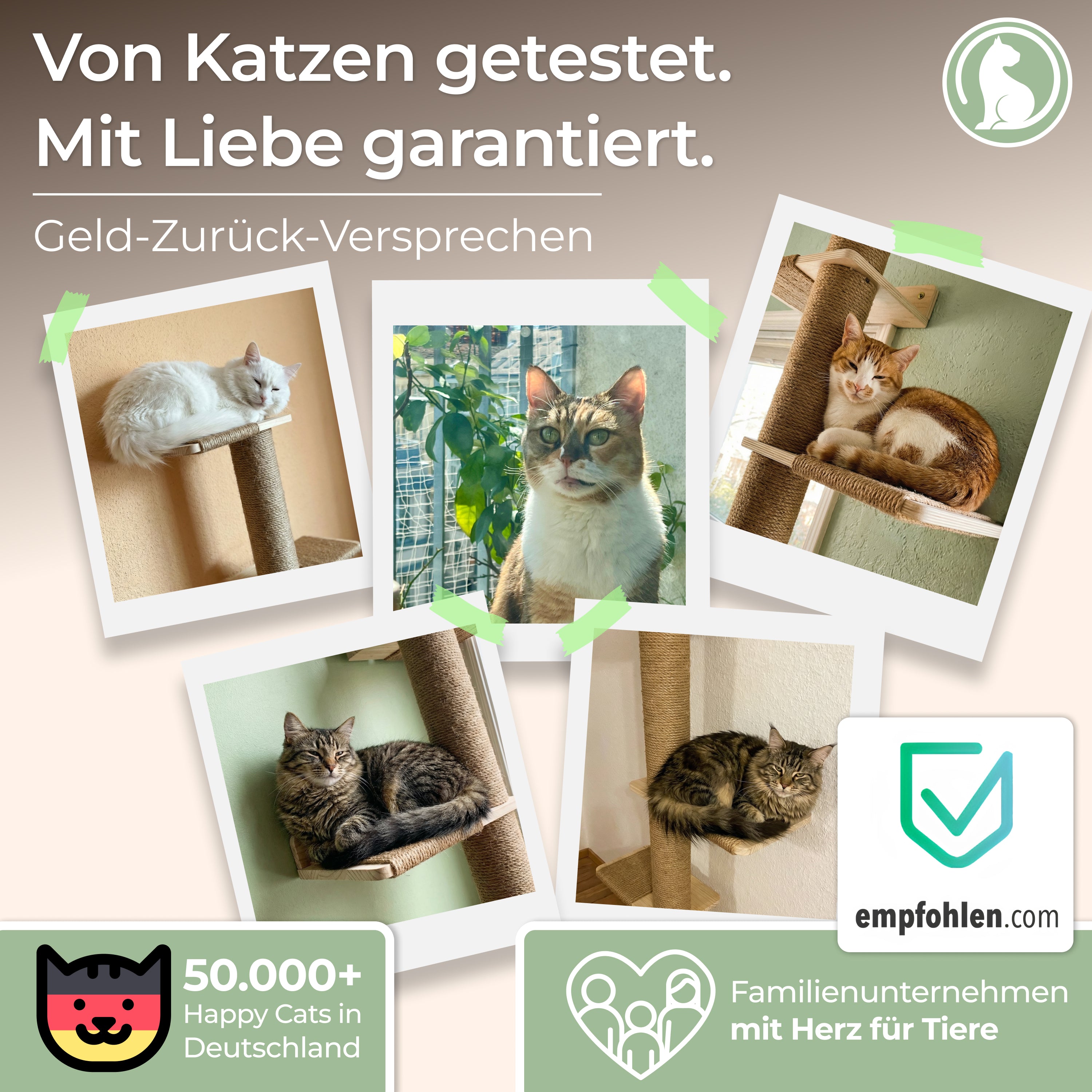 Deckenhoher Kletterbaum Katze