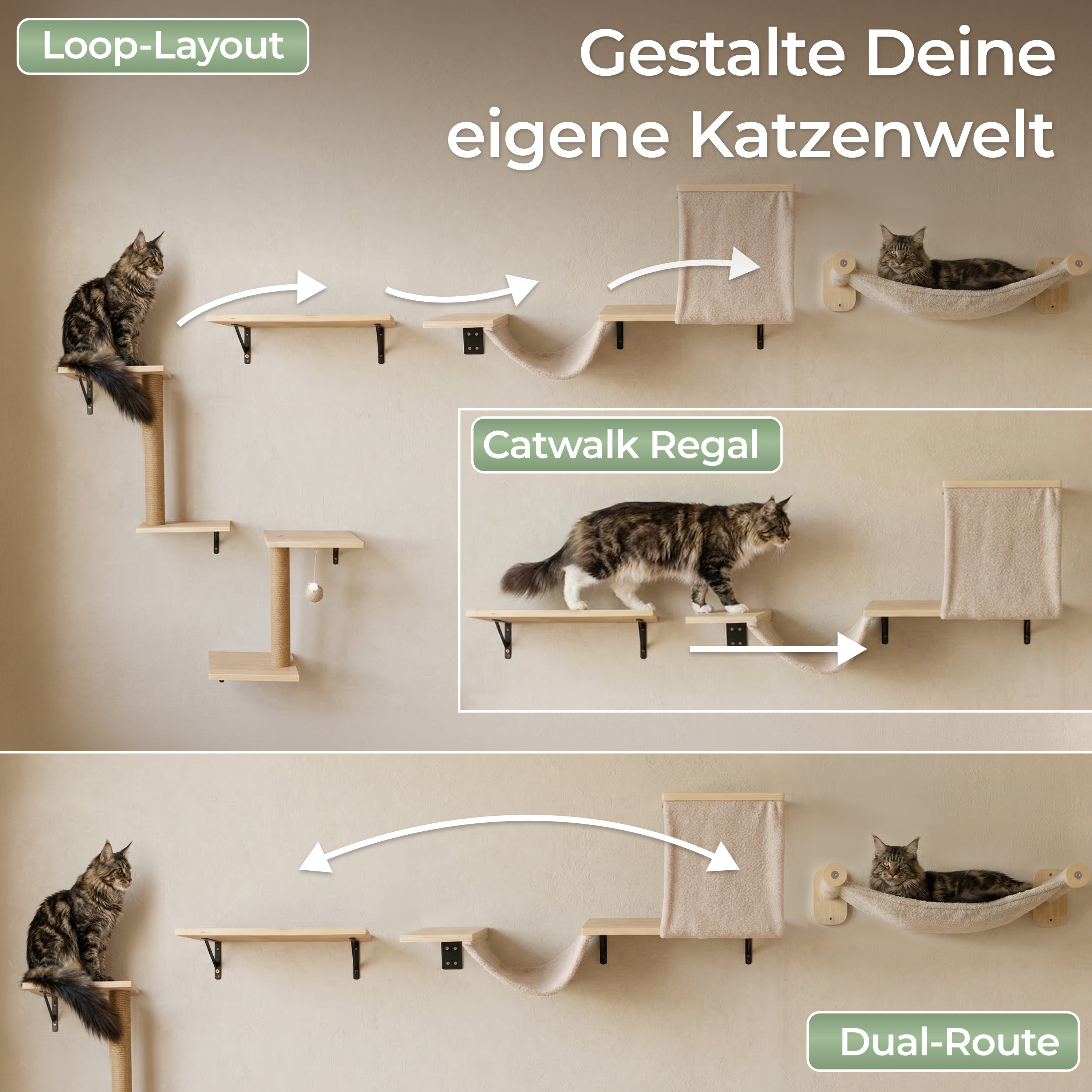 WOOWOOD 12-teilige Kletterwand Katzen - Beste Stabilität - Kratzbaum Katze aus Naturholz, Katzen Hängematte, Katze Wandelemente, Kratzbaum Klein, Katzenwand, Katzentreppe Wand, Katzenmöbel