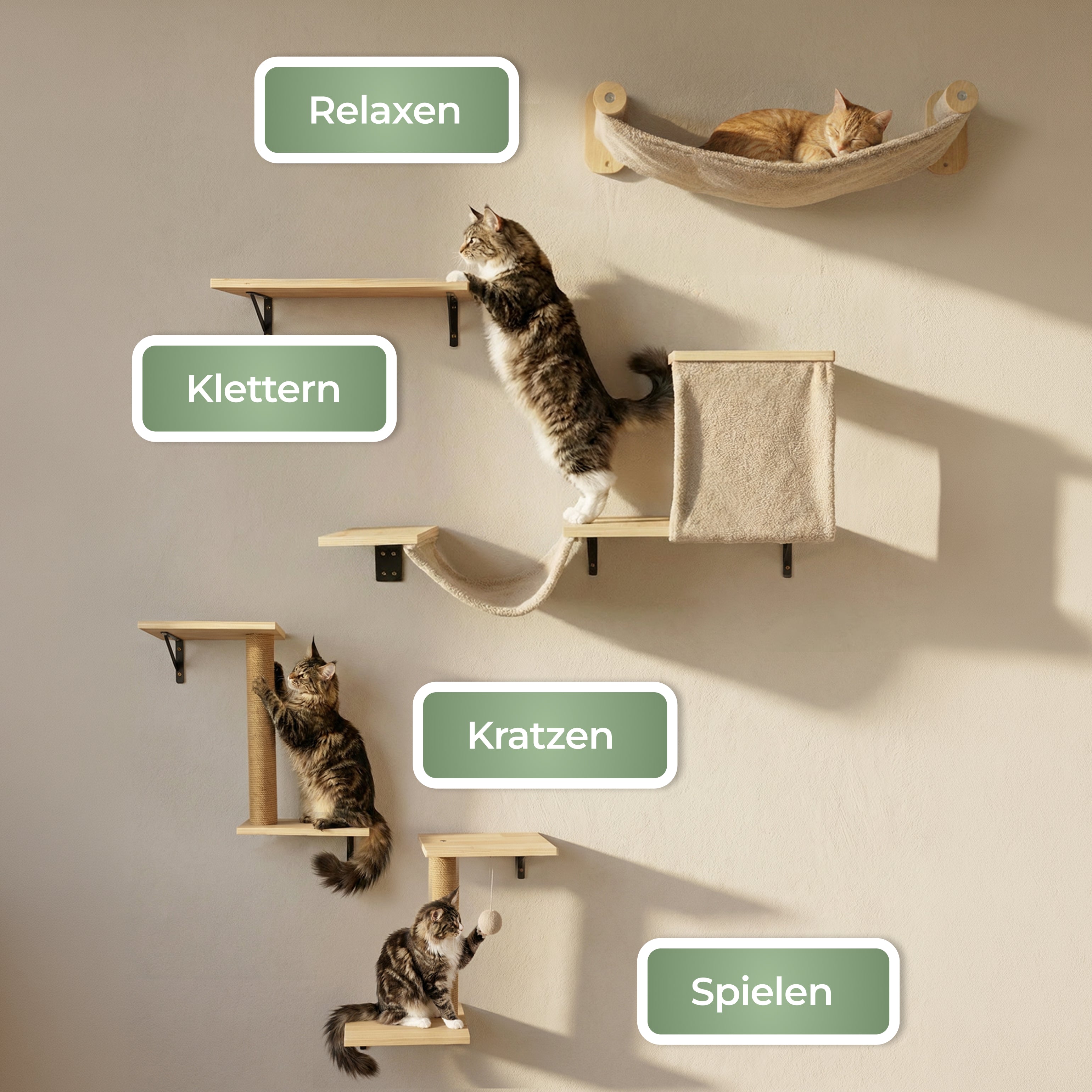 WOOWOOD 12-teilige Kletterwand Katzen - Beste Stabilität - Kratzbaum Katze aus Naturholz, Katzen Hängematte, Katze Wandelemente, Kratzbaum Klein, Katzenwand, Katzentreppe Wand, Katzenmöbel
