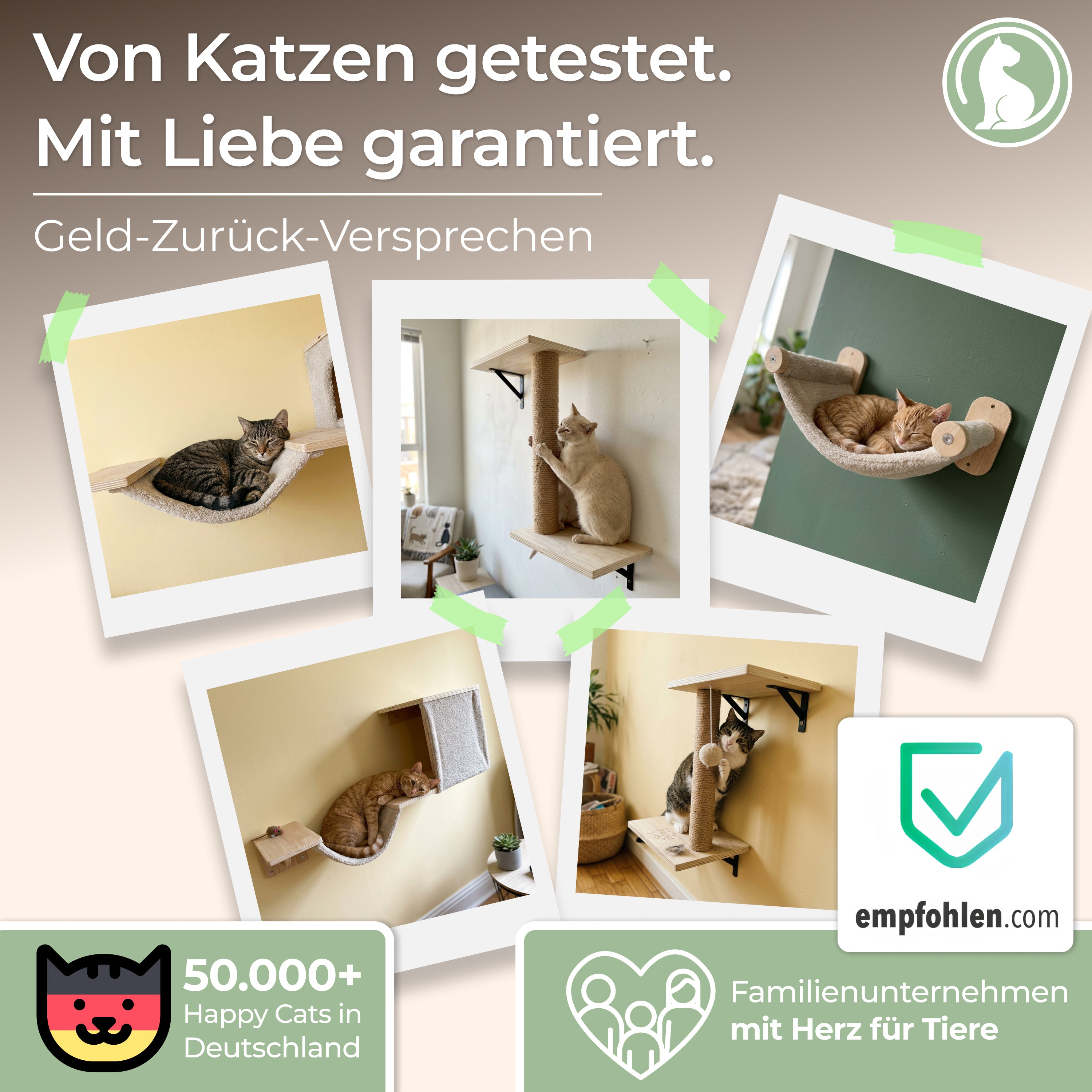 WOOWOOD 12-teilige Kletterwand Katzen - Beste Stabilität - Kratzbaum Katze aus Naturholz, Katzen Hängematte, Katze Wandelemente, Kratzbaum Klein, Katzenwand, Katzentreppe Wand, Katzenmöbel