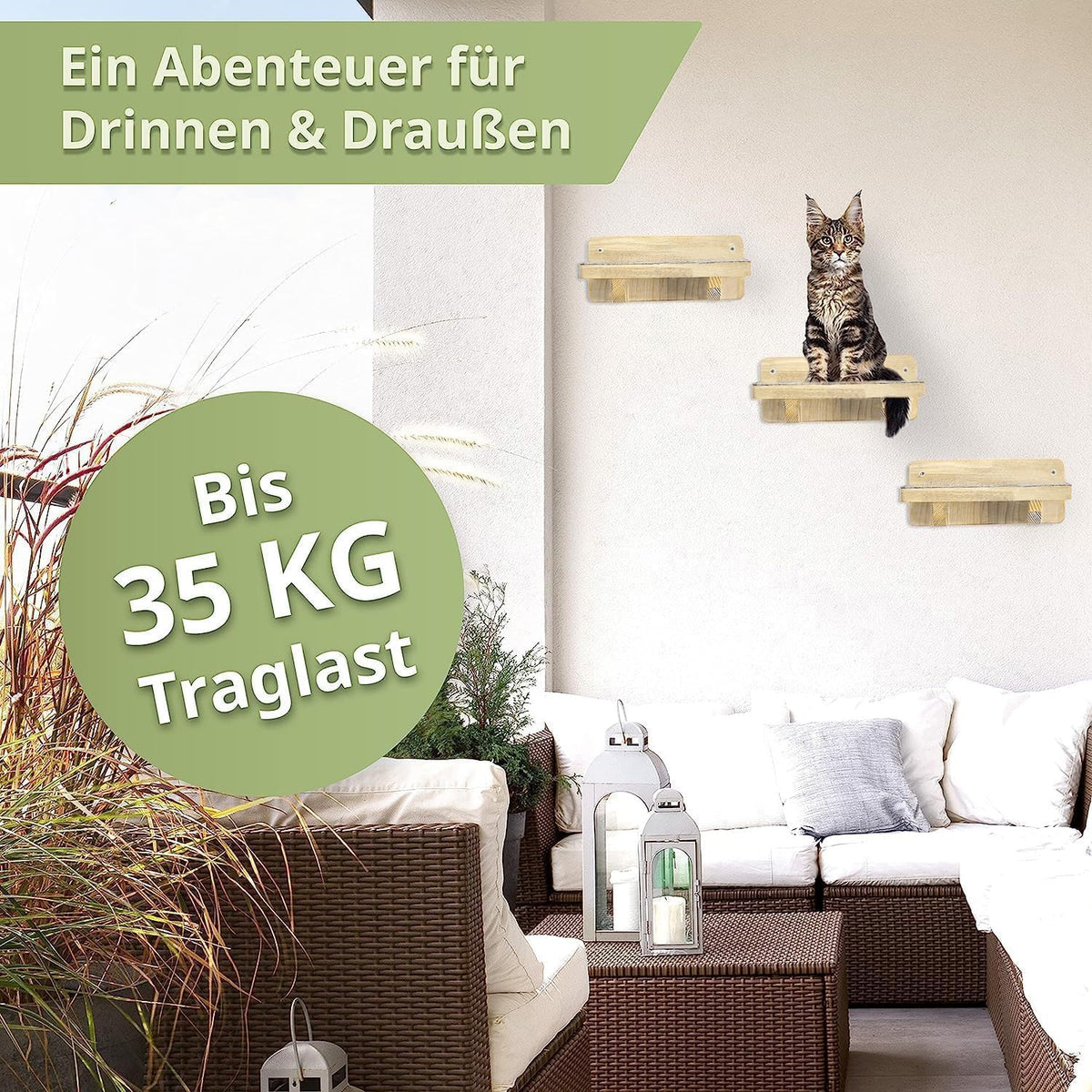 WOOWOOD Katzentreppen XL Naturholz