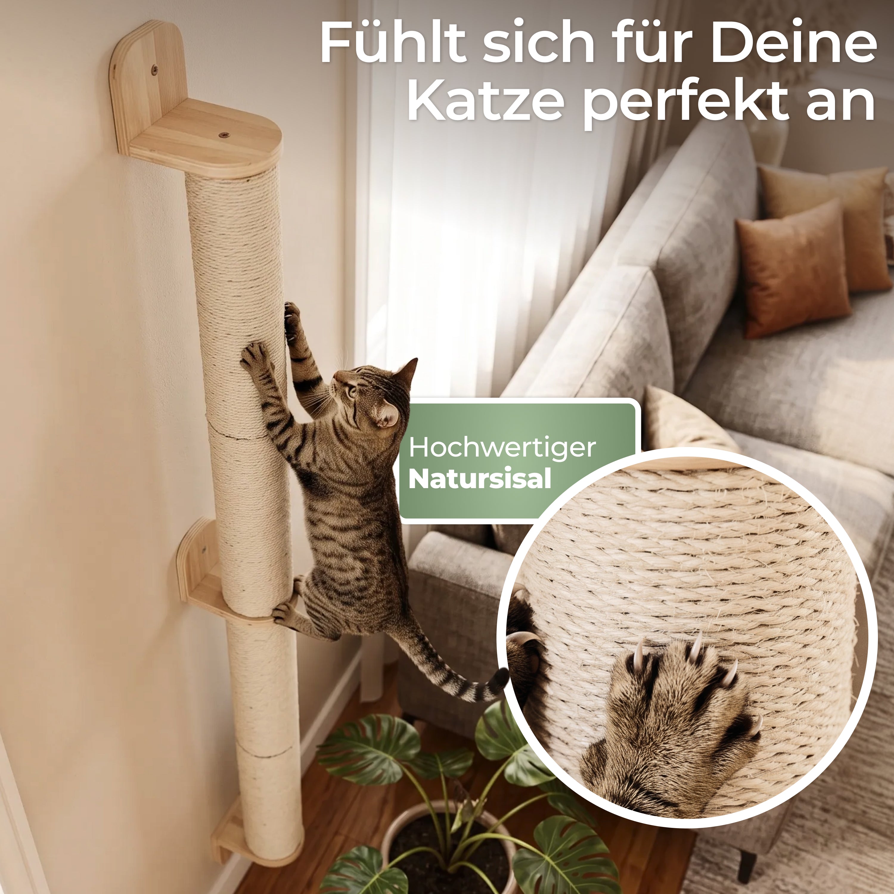 Kratzsäule Wand mit Schrauben und Dübeln