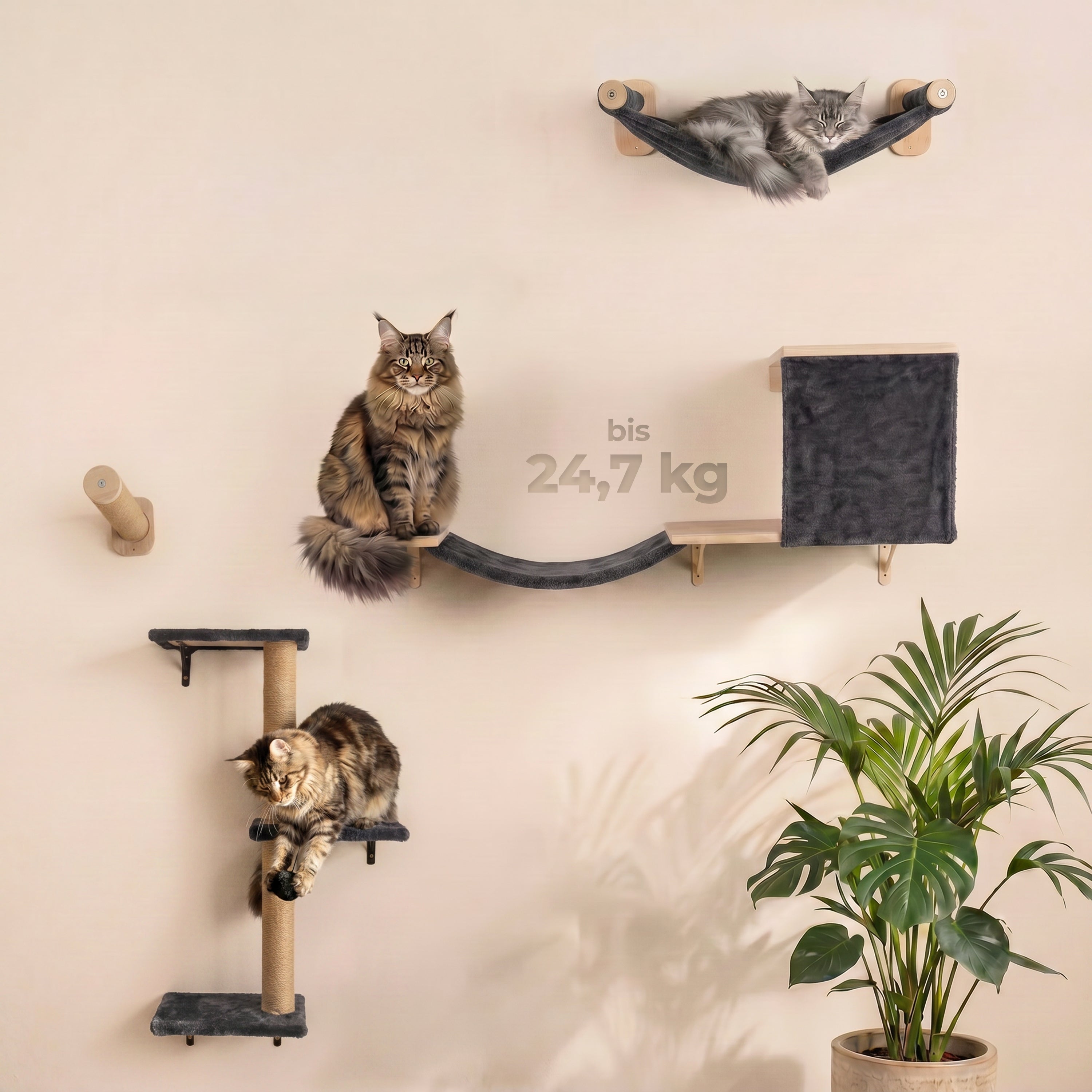 WOOWOOD®️ Kletterwand Katzen Set inkl. Katzentreppe Wand I Kratzbaum Wand I Hängematte Katze I Wandkratzbaum I Katzenmöbel I Katzenwand I Katzen Kletterwand Set (8-teilig)