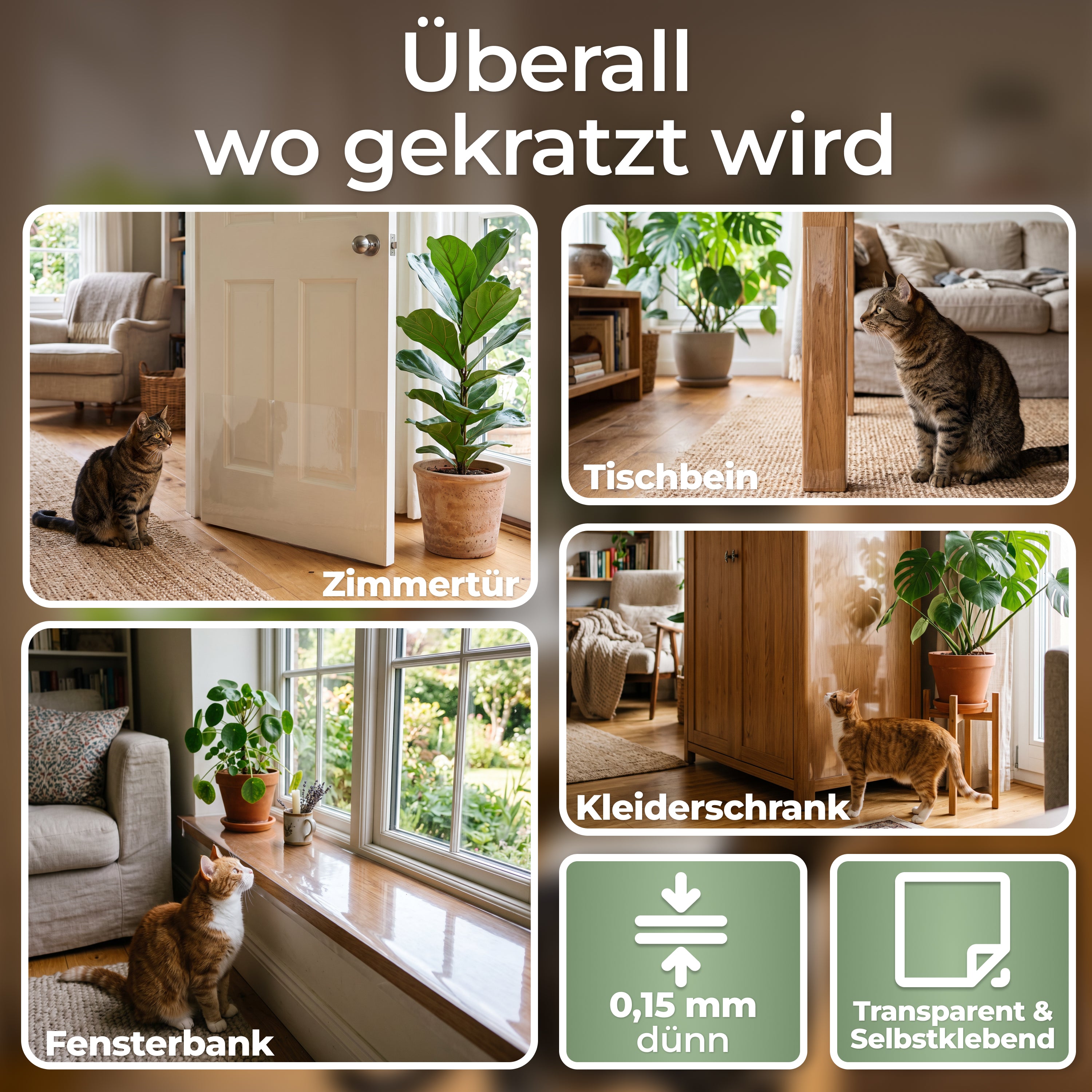 Kratzschutzfolie Katze selbstklebend