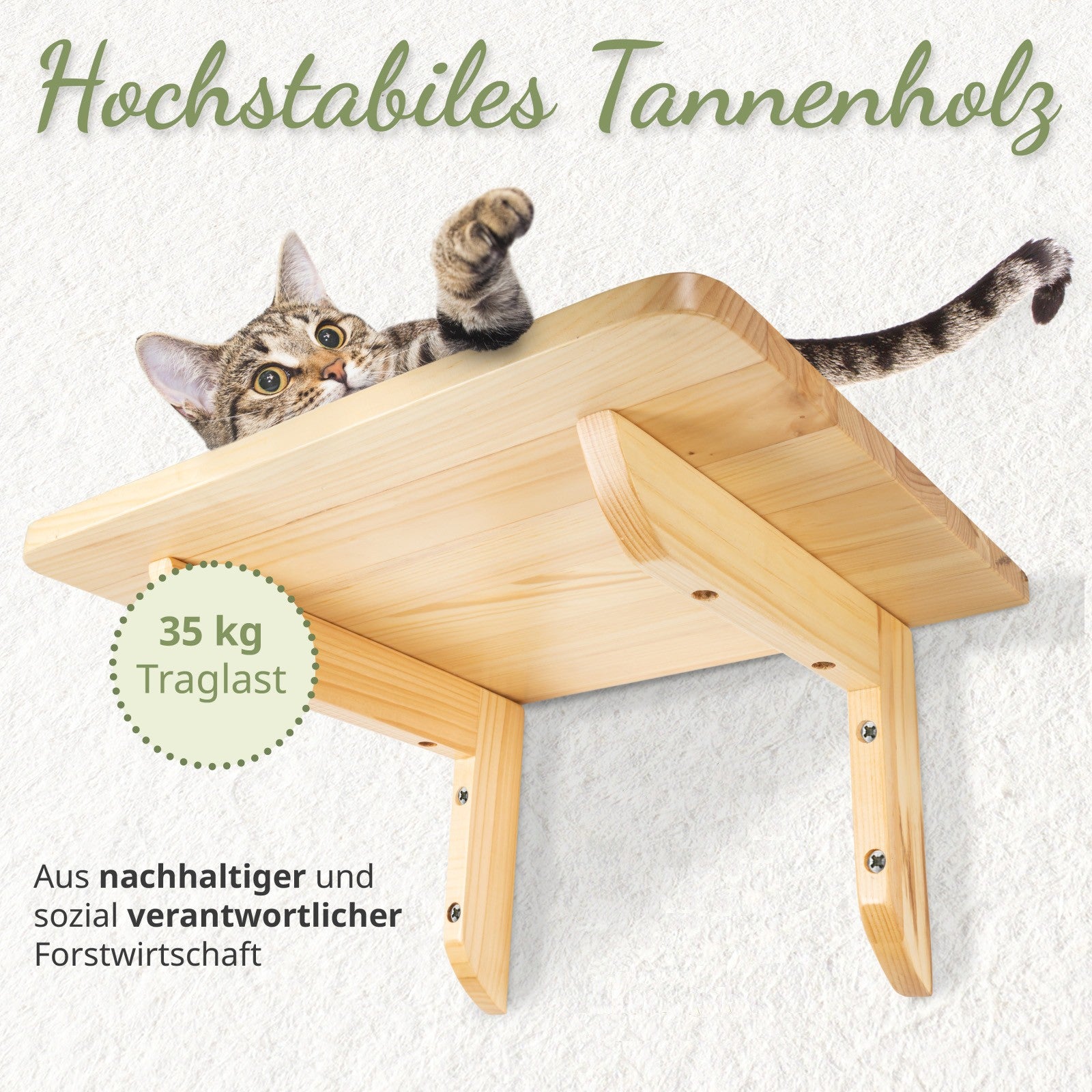 Kletterwand Katzen inkl. 2X Katzentreppen Wand | Naturholz