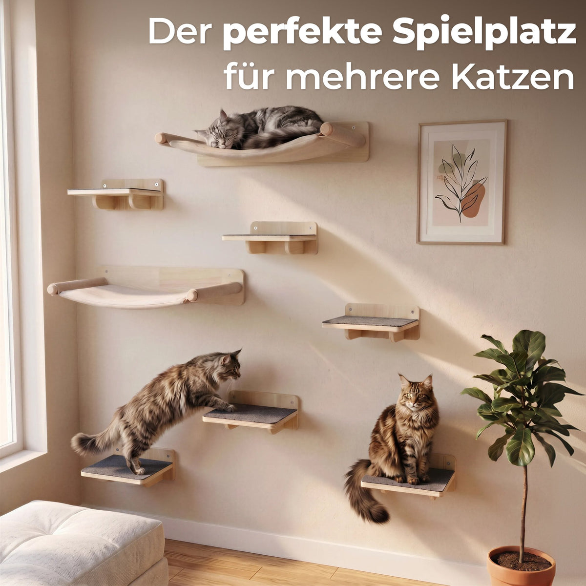 Der perfekte Spielplatz für mehrere Katzen
