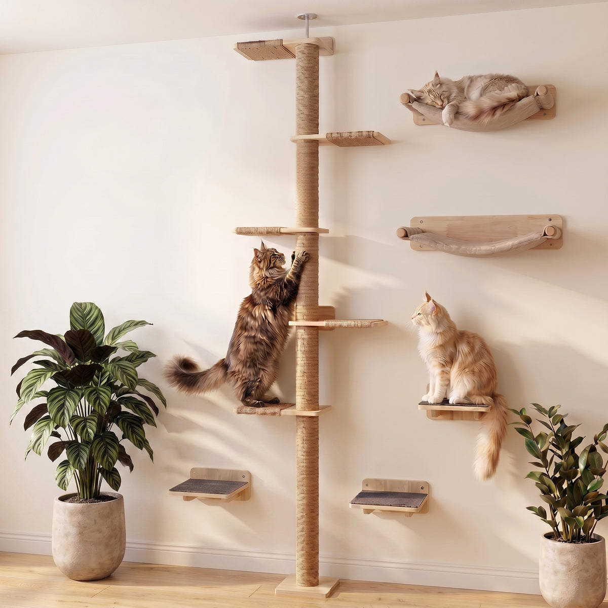 Kletterwand Set an der Wand montiert