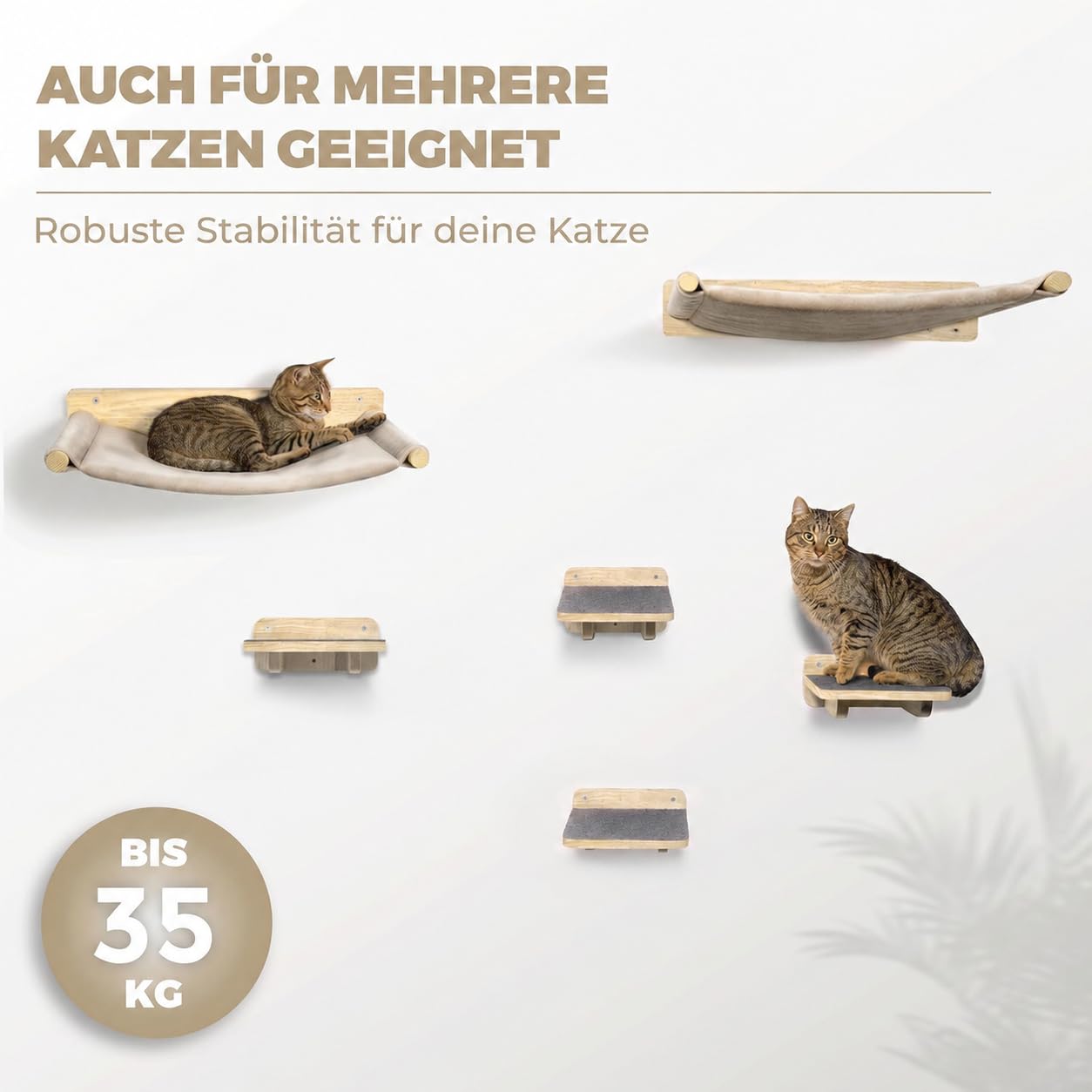 Für mehrere Katzen geeignet, bis 35 kg belastbar