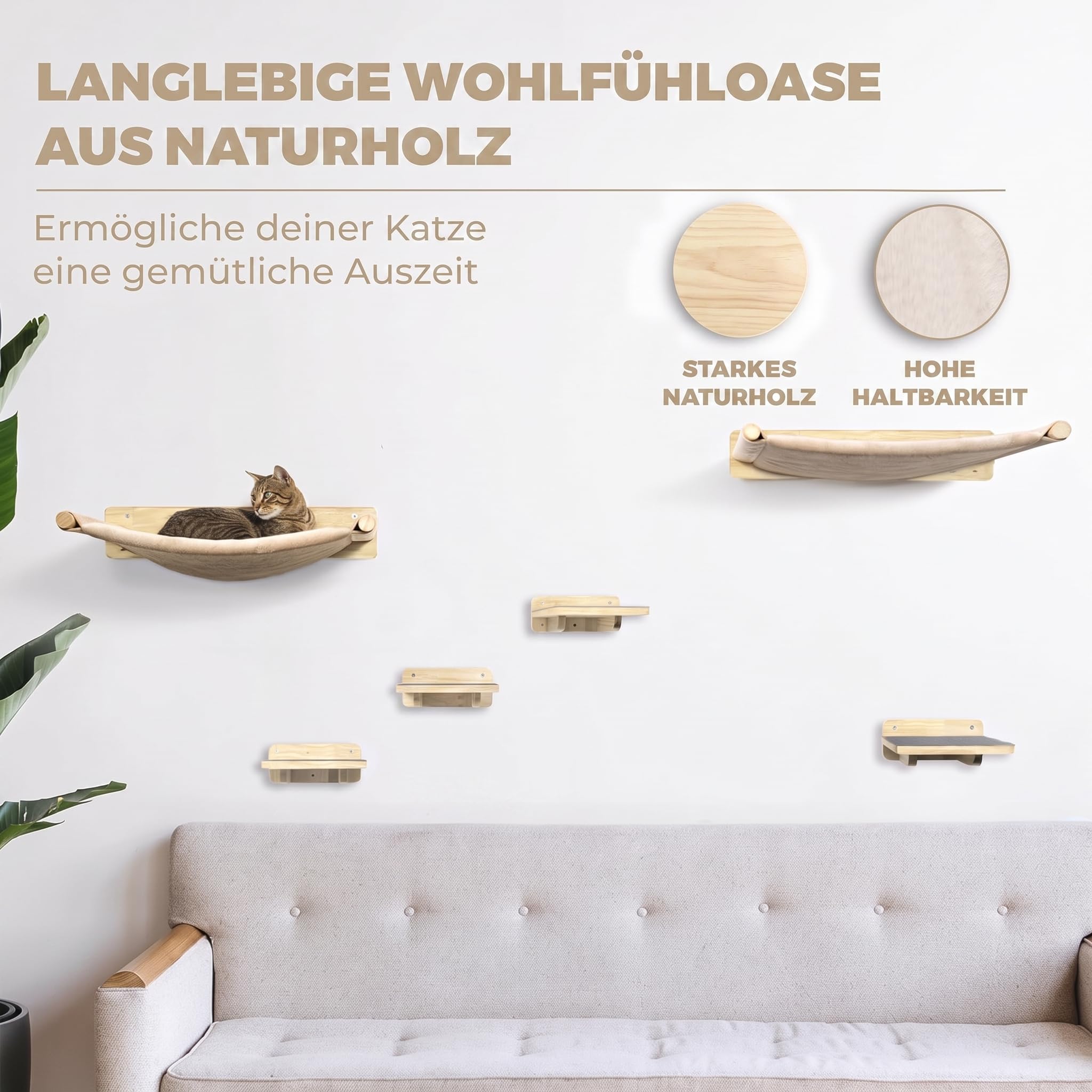 Katze klettert über Katzentreppen an der Wand