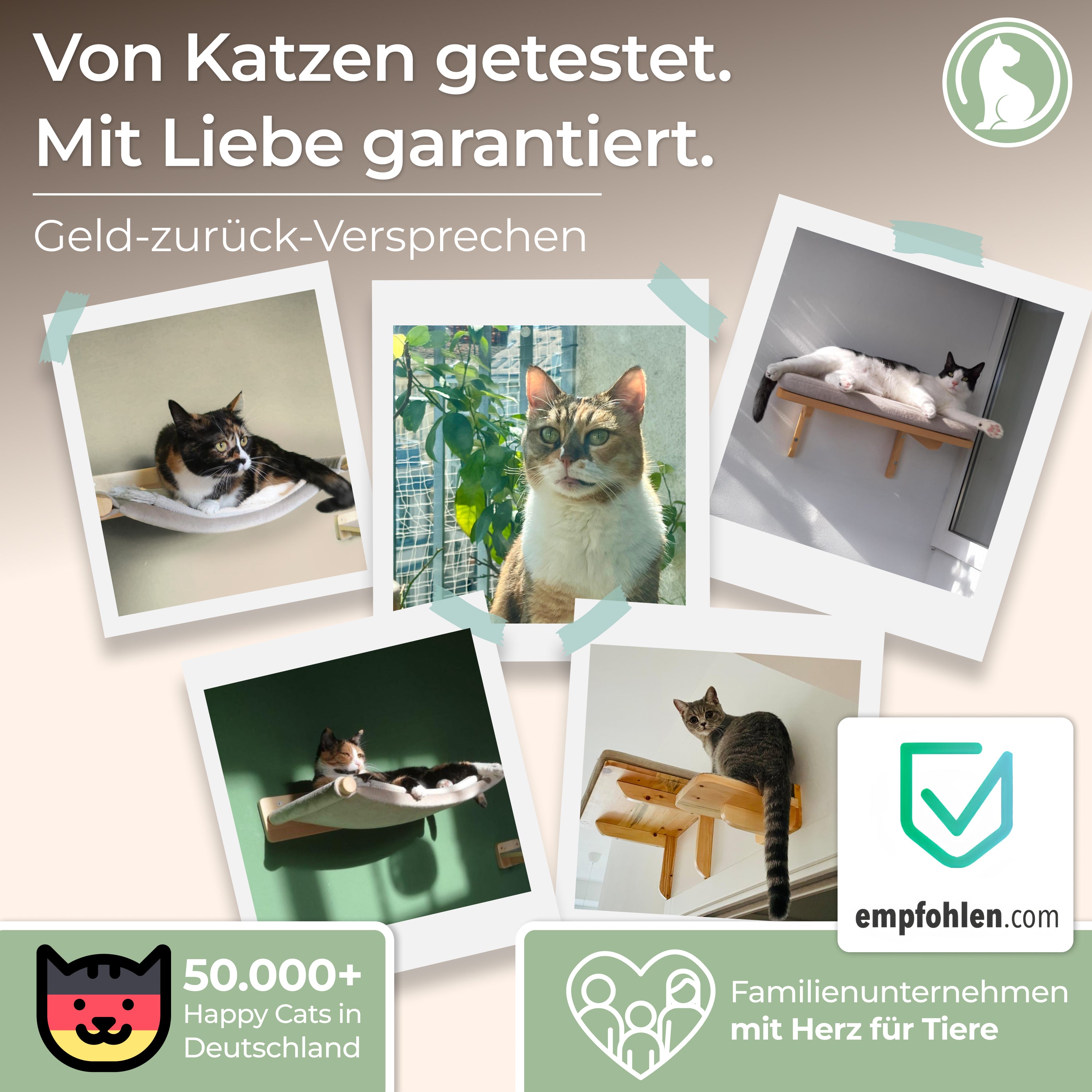 WOOWOOD® COMFY SET - 2X Wandliege Katzen - 2X Katzentreppe Wand [Vollholz] - Katzen Kletterwand Set (5 teilig)