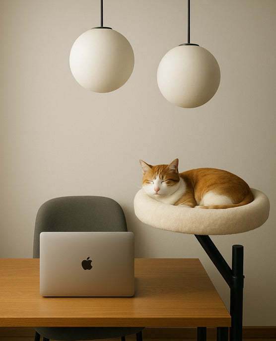 Schreibtisch Bettchen Katze