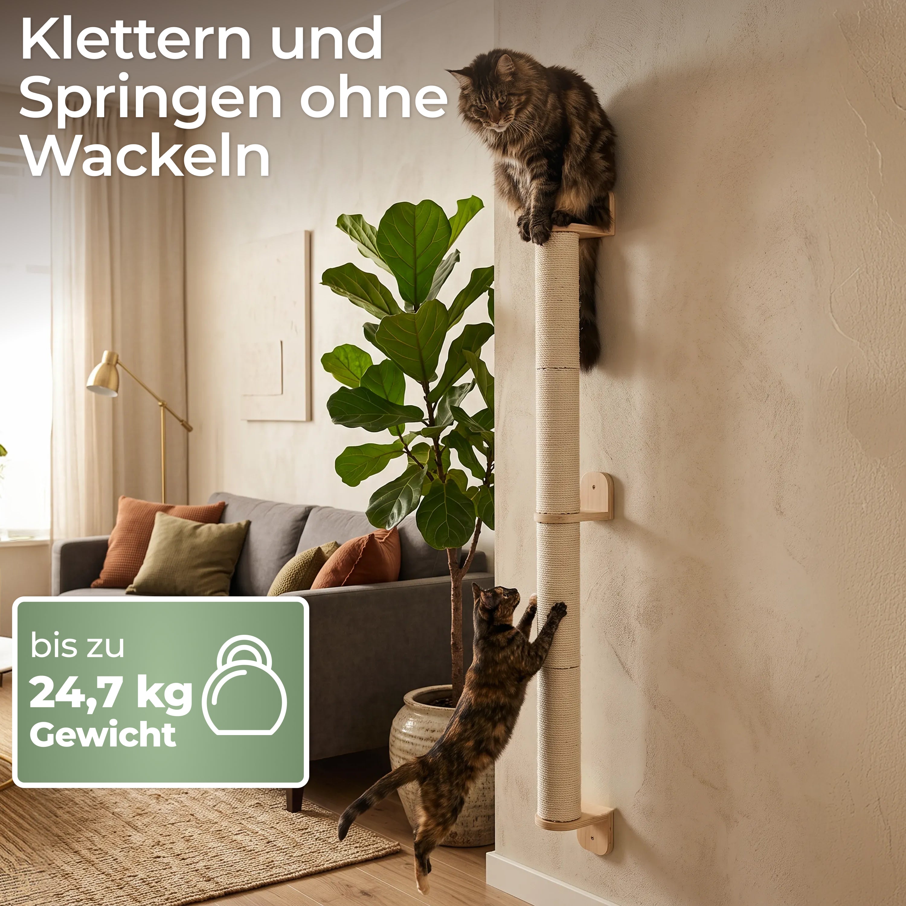 Kratzsäule Wand mit Schrauben und Dübeln