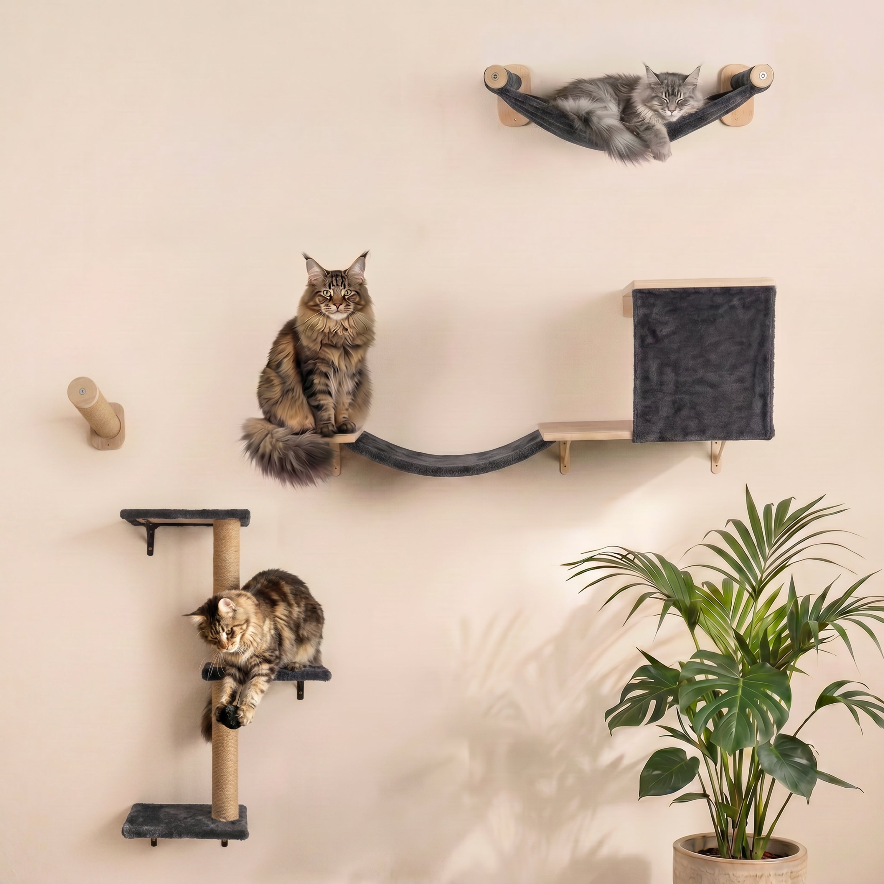 WOOWOOD®️ Kletterwand Katzen Set inkl. Katzentreppe Wand I Kratzbaum Wand I Hängematte Katze I Wandkratzbaum I Katzenmöbel I Katzenwand I Katzen Kletterwand Set (8-teilig)