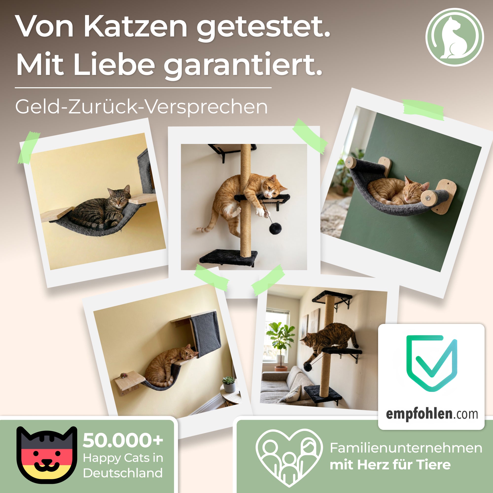 WOOWOOD®️ Kletterwand Katzen Set inkl. Katzentreppe Wand I Kratzbaum Wand I Hängematte Katze I Wandkratzbaum I Katzenmöbel I Katzenwand I Katzen Kletterwand Set (8-teilig)