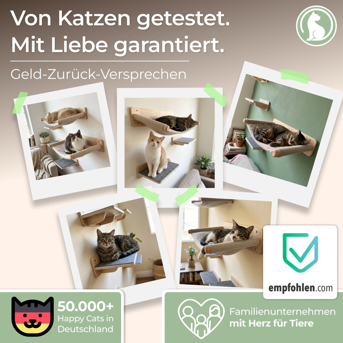Von Katzen getestet – Familienunternehmen mit Herz für Tiere